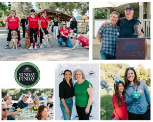 Collage of a community event with people, dogs, awards, dining, and a "Sunday Funday" emblem.